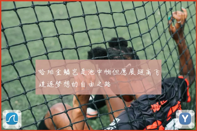 哈珀金鳞岂是池中物但愿展翅高飞追逐梦想的自由之路