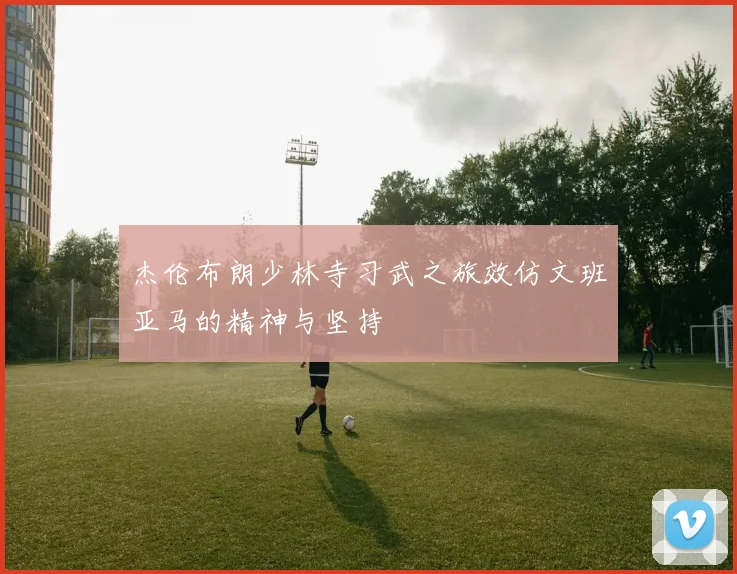 杰伦布朗少林寺习武之旅效仿文班亚马的精神与坚持