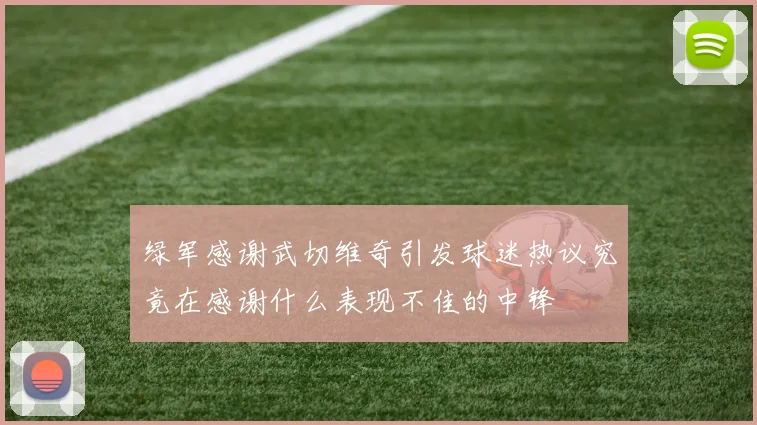 绿军感谢武切维奇引发球迷热议究竟在感谢什么表现不佳的中锋